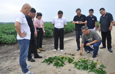 转载‖大连凯飞化学股份有限公司一行到尖山农场有限公司参观考察
