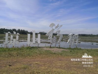 大连凯飞化学股份有限公司一行到海口考察琼山福稻，现场确定试验方案